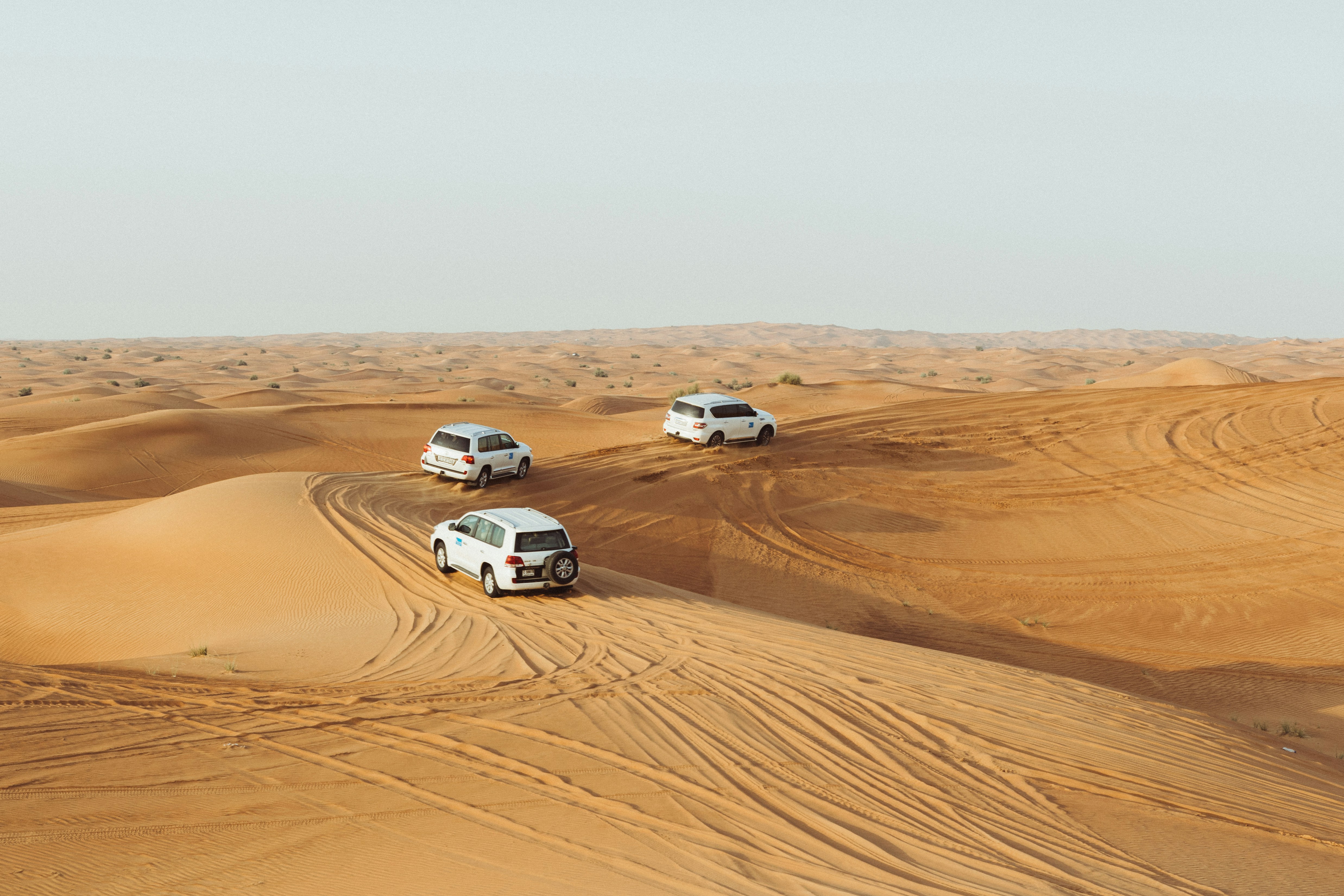 Desert Safari